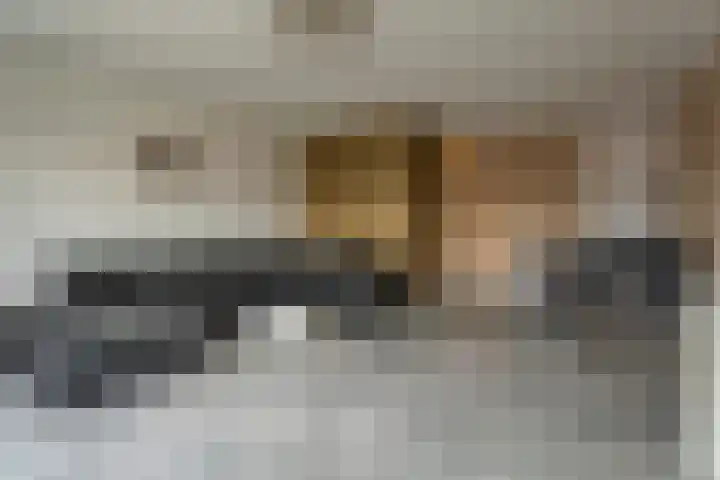 Laan van Ouderzorg 118 Leiderdorp thumbnail 6