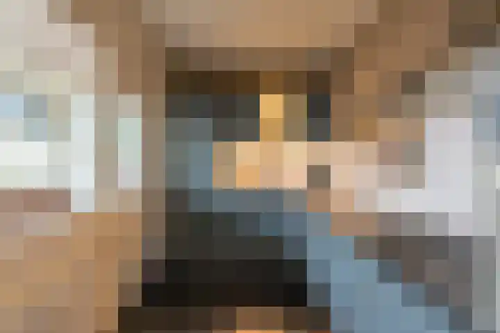 Laan van Ouderzorg 118 Leiderdorp thumbnail 7