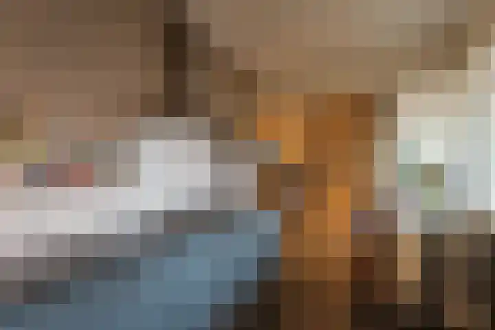 Laan van Ouderzorg 118 Leiderdorp thumbnail 9