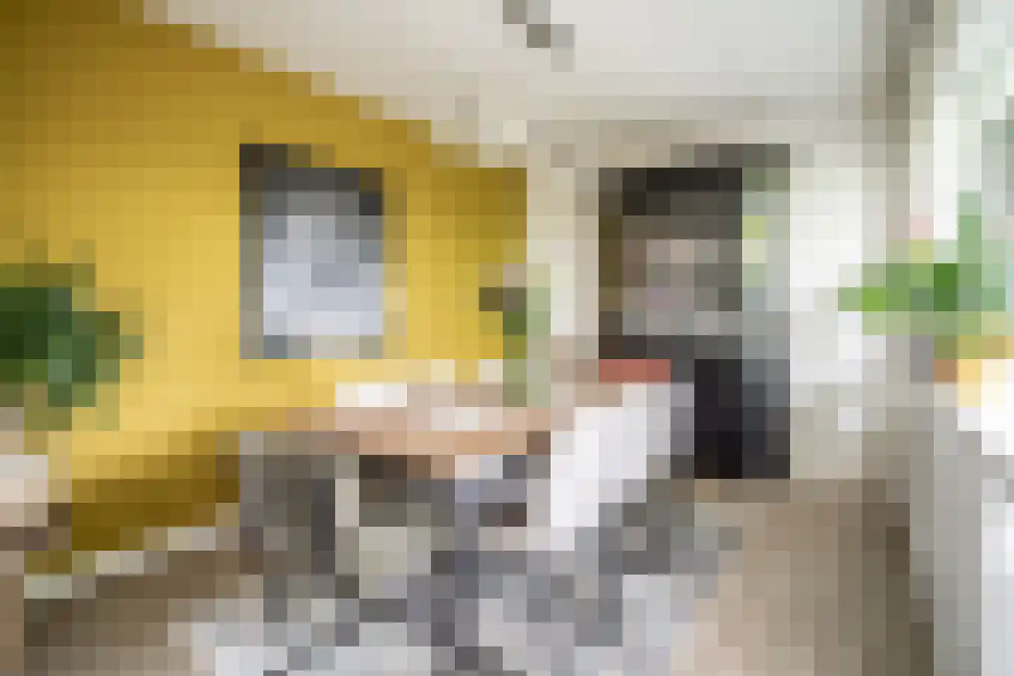 Laan van Ouderzorg 157 Leiderdorp thumbnail 14
