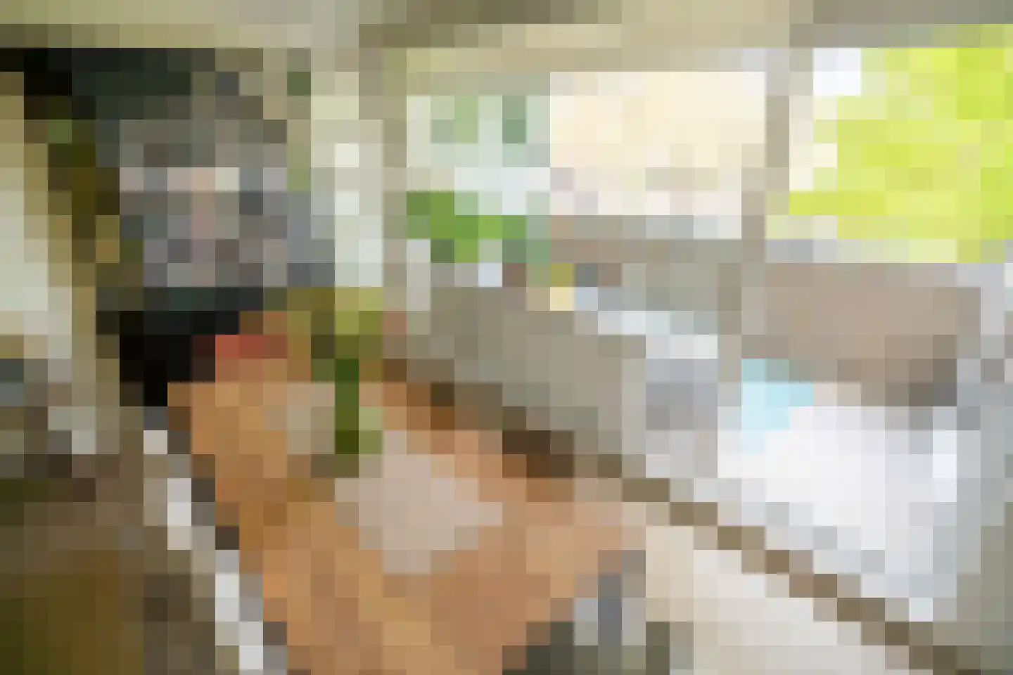 Laan van Ouderzorg 157 Leiderdorp thumbnail 15
