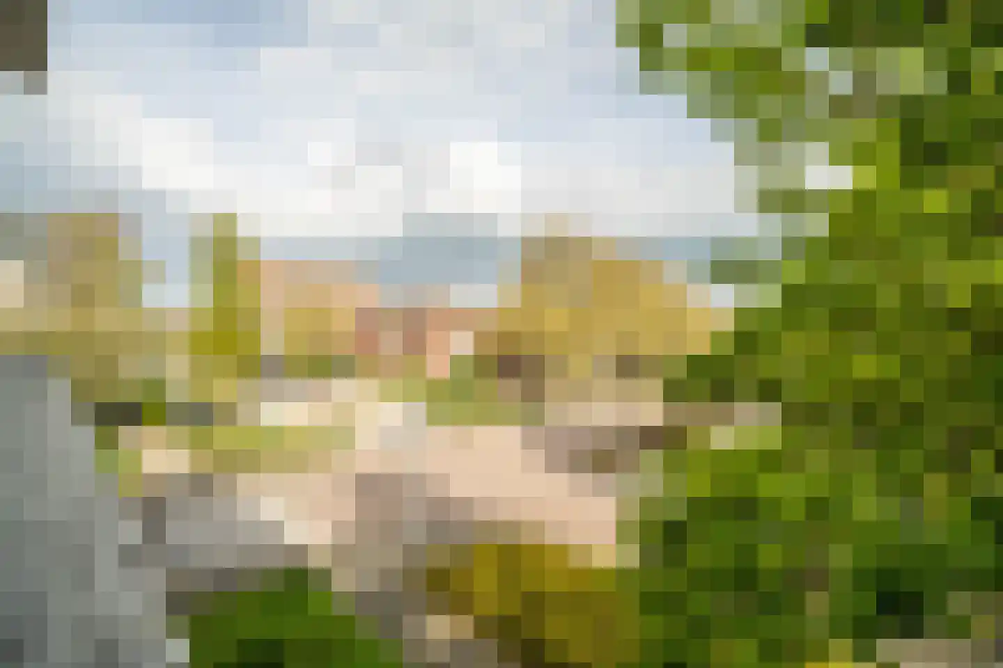 Laan van Ouderzorg 157 Leiderdorp thumbnail 17