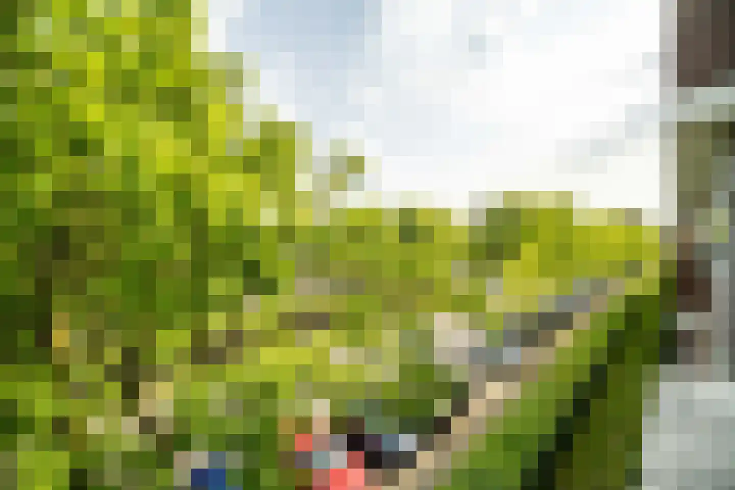 Laan van Ouderzorg 157 Leiderdorp thumbnail 18