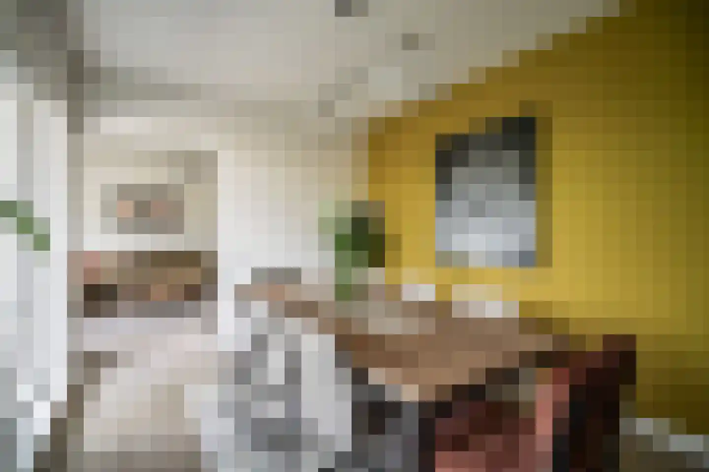 Laan van Ouderzorg 157 Leiderdorp thumbnail 19