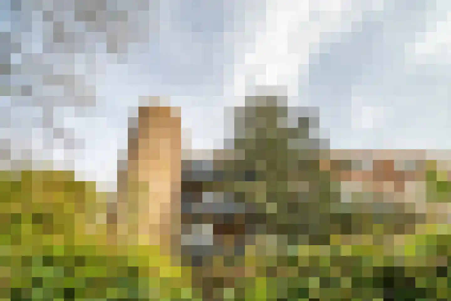 Laan van Ouderzorg 157 Leiderdorp foto 2