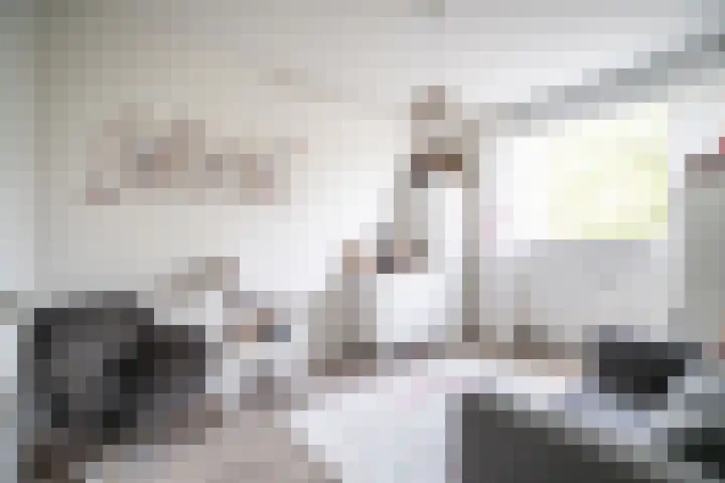 Laan van Ouderzorg 157 Leiderdorp thumbnail 28