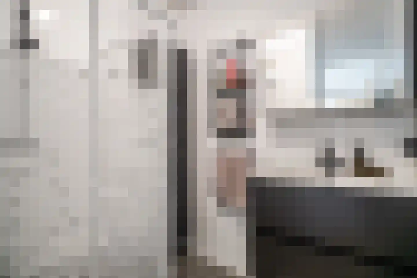 Laan van Ouderzorg 157 Leiderdorp thumbnail 35