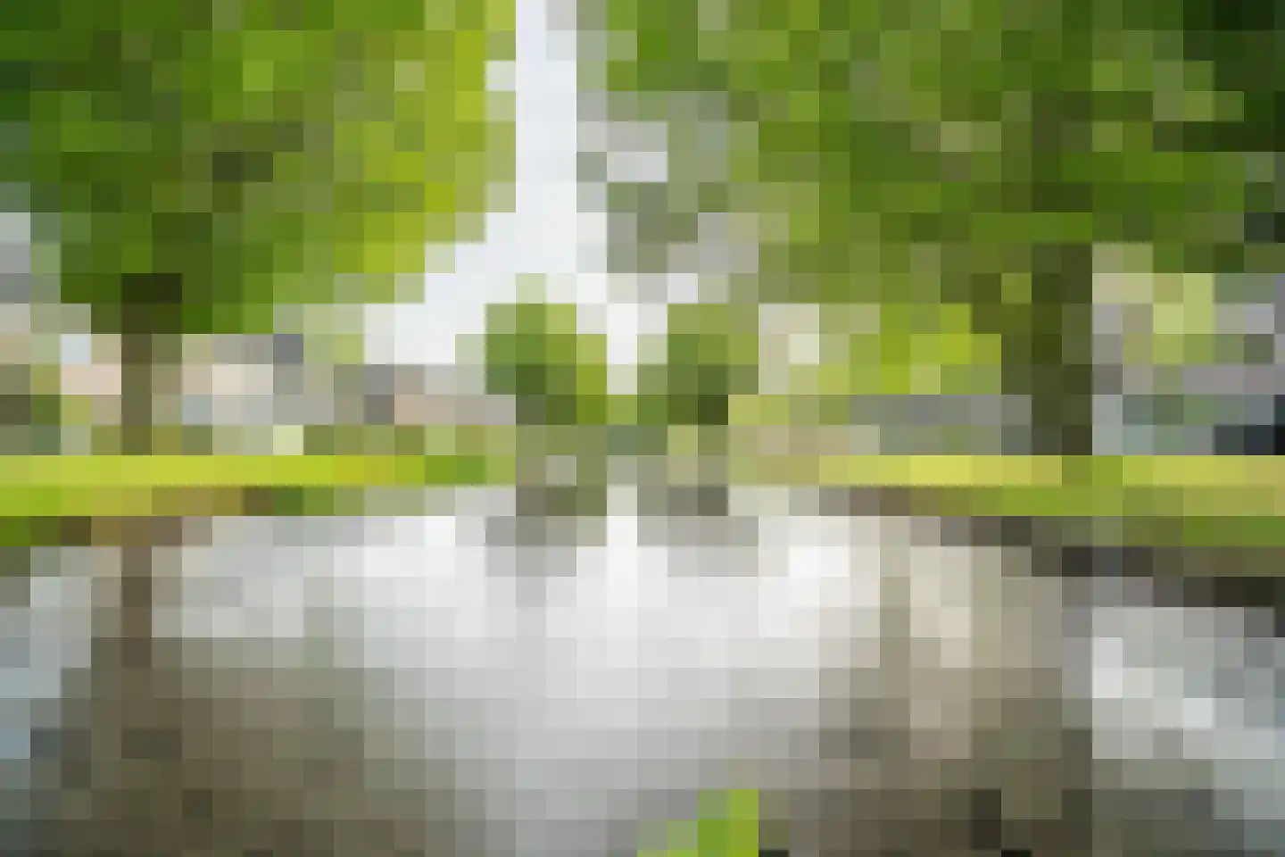 Laan van Ouderzorg 157 Leiderdorp thumbnail 43