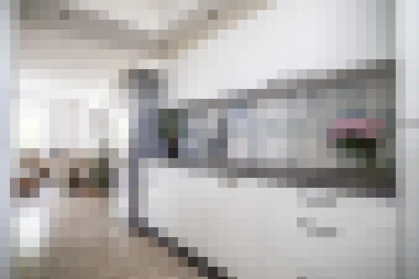 Laan van Ouderzorg 157 Leiderdorp thumbnail 8