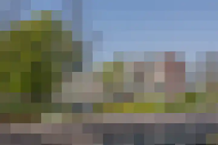 Laan van Ouderzorg 159 Leiderdorp thumbnail 10