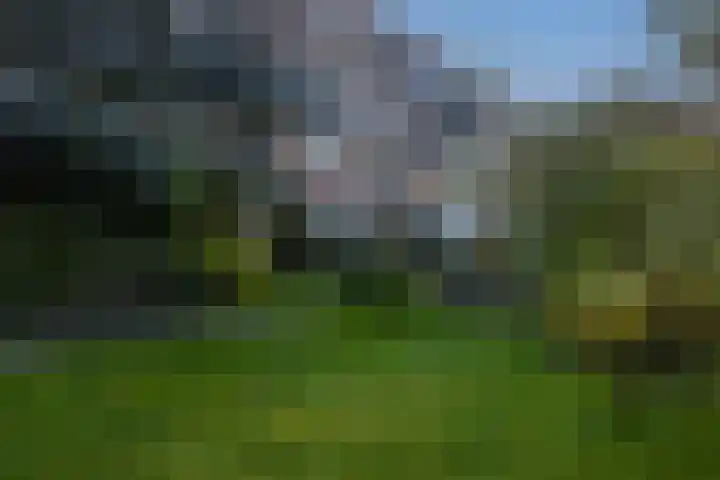 Laan van Ouderzorg 159 Leiderdorp thumbnail 12