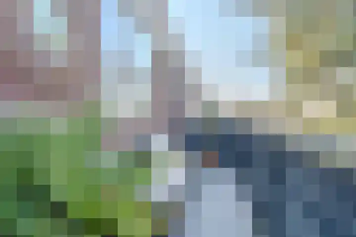 Laan van Ouderzorg 159 Leiderdorp thumbnail 14