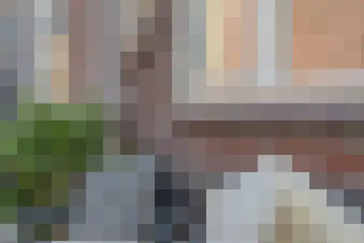 Laan van Ouderzorg 159 Leiderdorp thumbnail 17