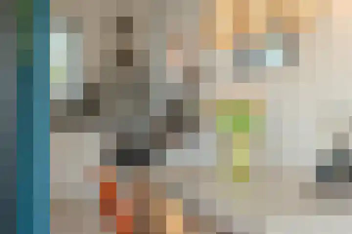 Laan van Ouderzorg 159 Leiderdorp thumbnail 35
