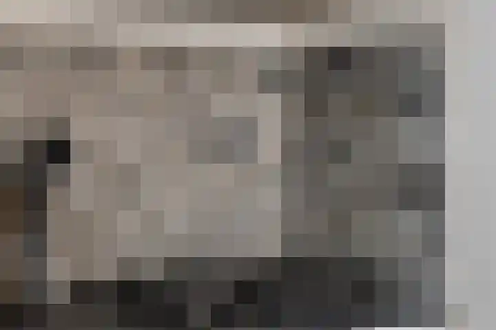 Laan van Ouderzorg 159 Leiderdorp thumbnail 39