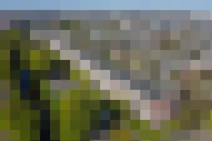 Laan van Ouderzorg 159 Leiderdorp thumbnail 5