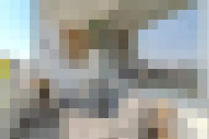 Laan van Ouderzorg 159 Leiderdorp thumbnail 57
