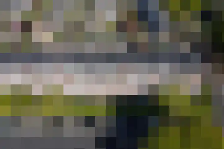 Laan van Ouderzorg 159 Leiderdorp thumbnail 6