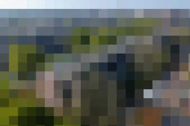 Laan van Ouderzorg 159 Leiderdorp thumbnail 60