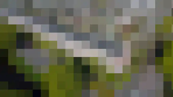 Laan van Ouderzorg 159 Leiderdorp thumbnail 65