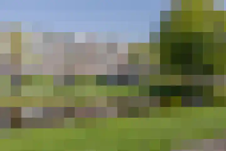 Laan van Ouderzorg 159 Leiderdorp thumbnail 7