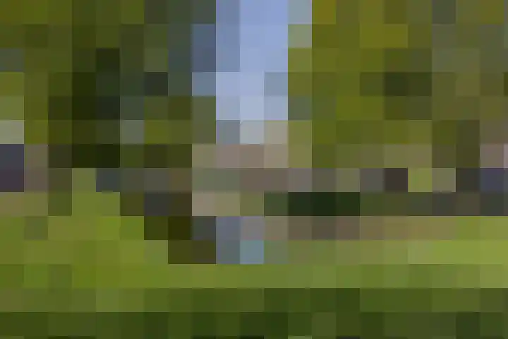 Laan van Ouderzorg 159 Leiderdorp thumbnail 8