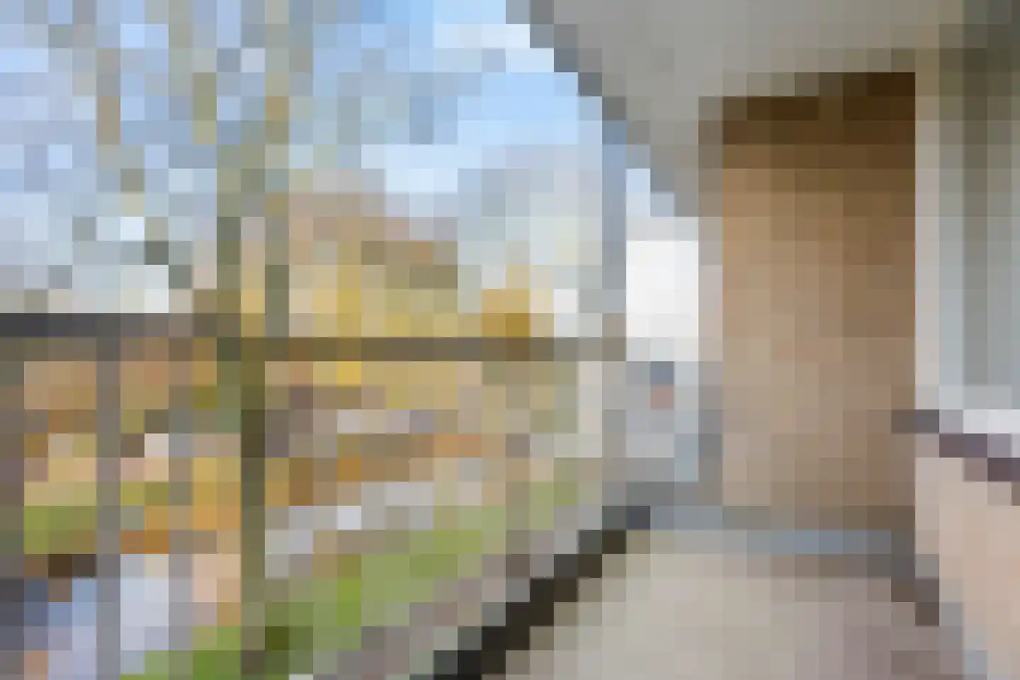 Laan van Ouderzorg 187 Leiderdorp thumbnail 13