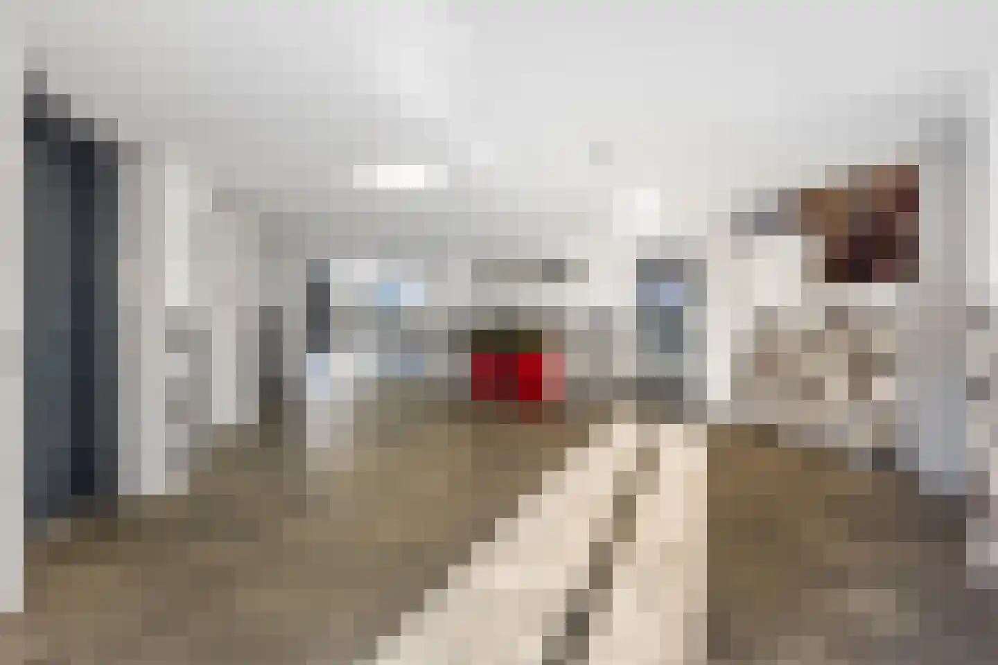 Laan van Ouderzorg 187 Leiderdorp thumbnail 4
