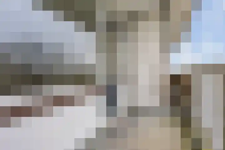 Laan van Ouderzorg 215 Leiderdorp thumbnail 18