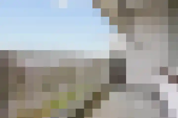Laan van Ouderzorg 215 Leiderdorp thumbnail 19