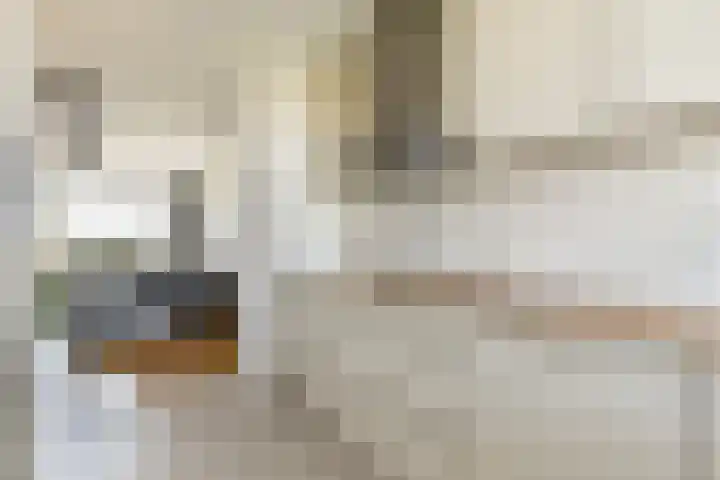 Laan van Ouderzorg 219 Leiderdorp thumbnail 12