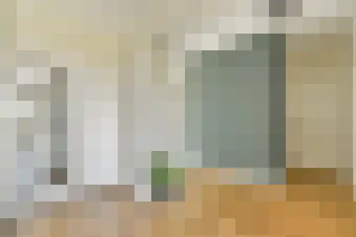 Laan van Ouderzorg 219 Leiderdorp thumbnail 14
