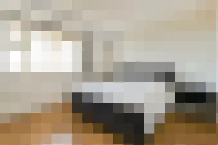 Laan van Ouderzorg 219 Leiderdorp thumbnail 16