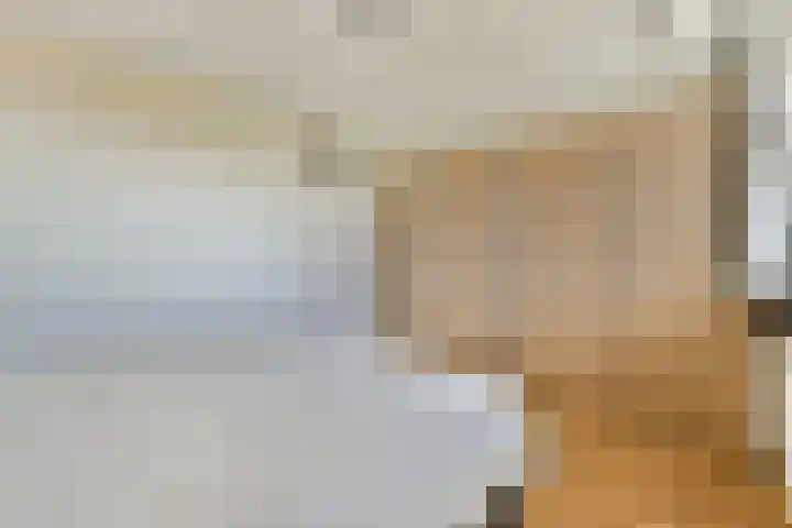 Laan van Ouderzorg 219 Leiderdorp thumbnail 17