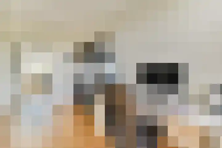 Laan van Ouderzorg 219 Leiderdorp thumbnail 21