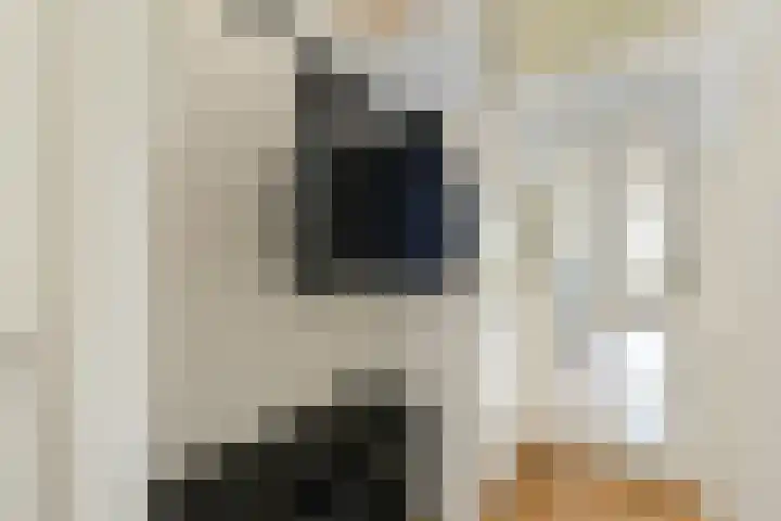 Laan van Ouderzorg 219 Leiderdorp thumbnail 24