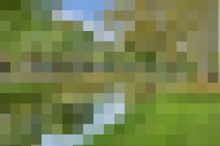 Laan van Ouderzorg 219 Leiderdorp thumbnail 26