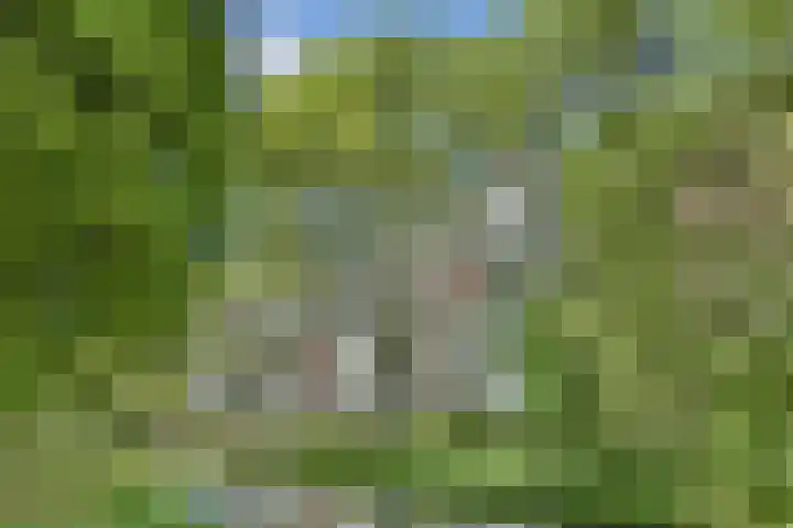Laan van Ouderzorg 219 Leiderdorp thumbnail 31