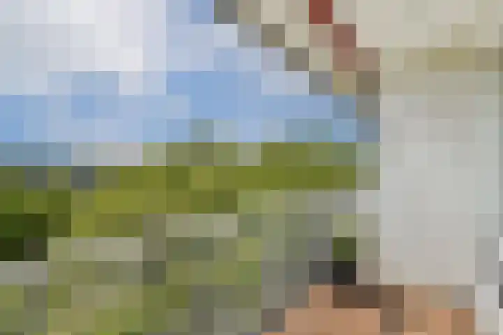 Laan van Ouderzorg 219 Leiderdorp thumbnail 5