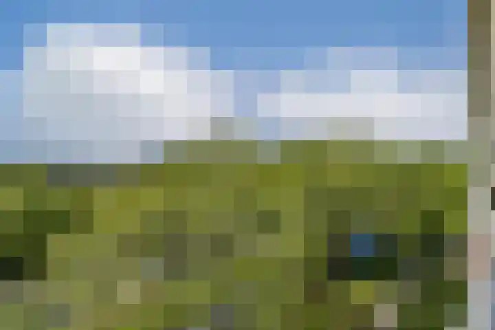 Laan van Ouderzorg 219 Leiderdorp thumbnail 6