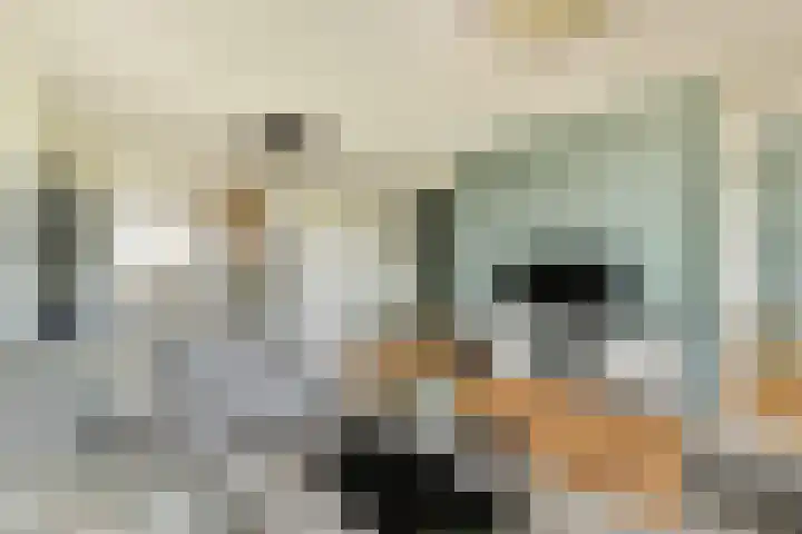 Laan van Ouderzorg 219 Leiderdorp thumbnail 8