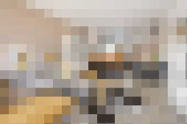 Laan van Ouderzorg 233 Leiderdorp thumbnail 10