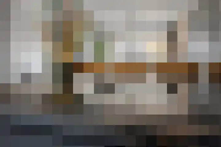 Laan van Ouderzorg 233 Leiderdorp thumbnail 15