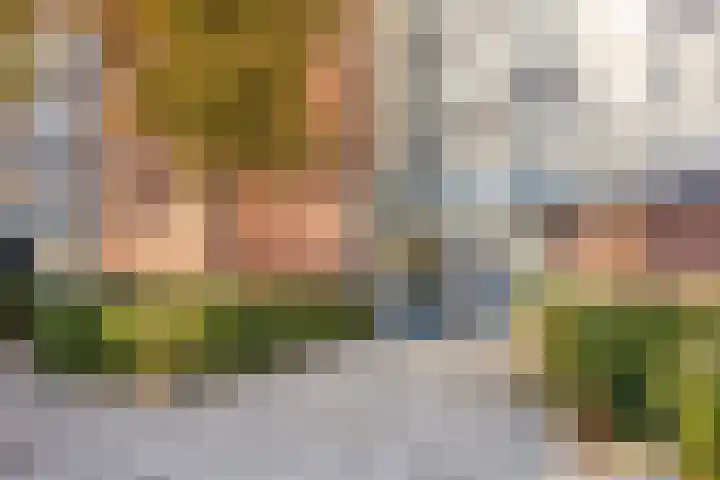 Laan van Ouderzorg 233 Leiderdorp foto 2