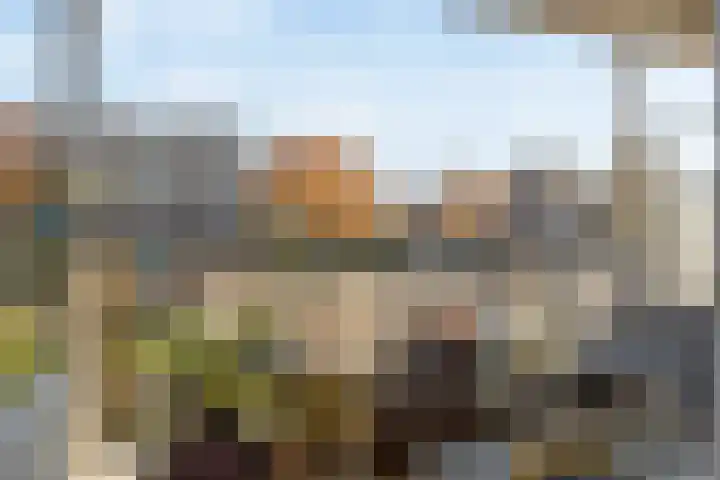 Laan van Ouderzorg 233 Leiderdorp thumbnail 20
