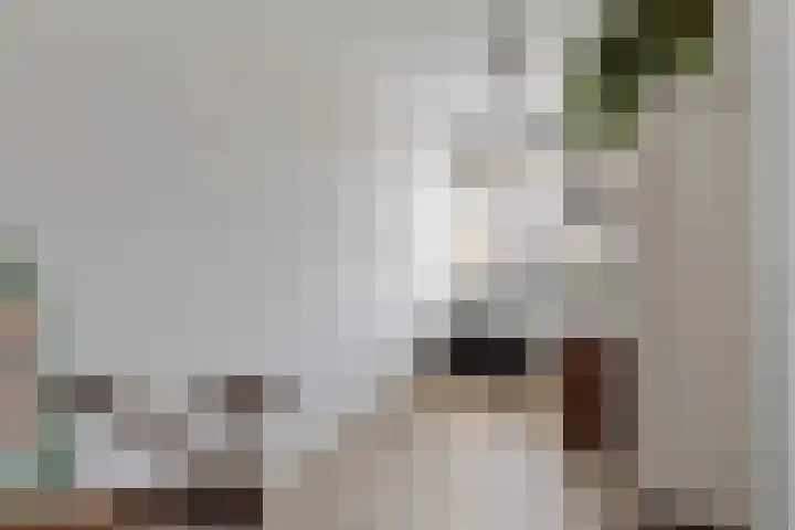 Laan van Ouderzorg 233 Leiderdorp thumbnail 25
