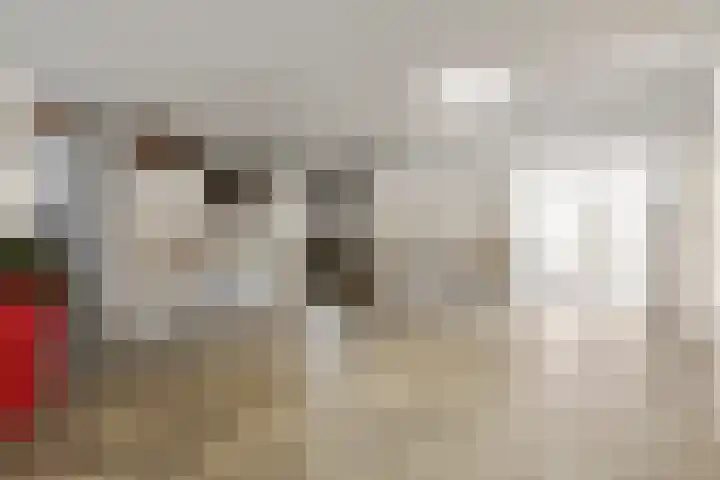 Laan van Ouderzorg 233 Leiderdorp thumbnail 4