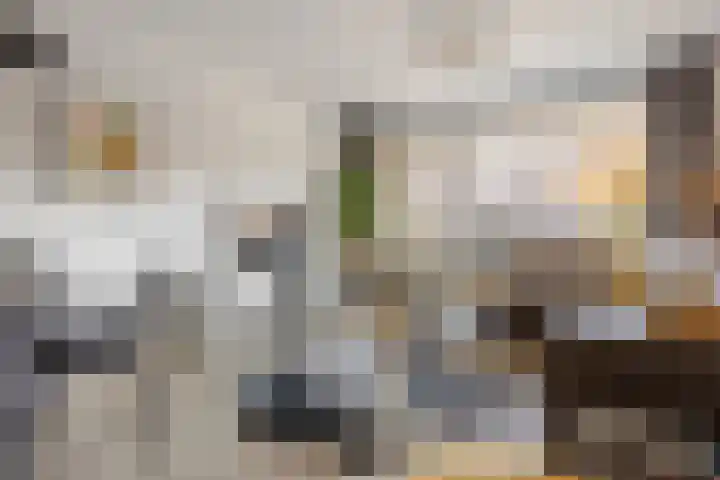 Laan van Ouderzorg 233 Leiderdorp thumbnail 9