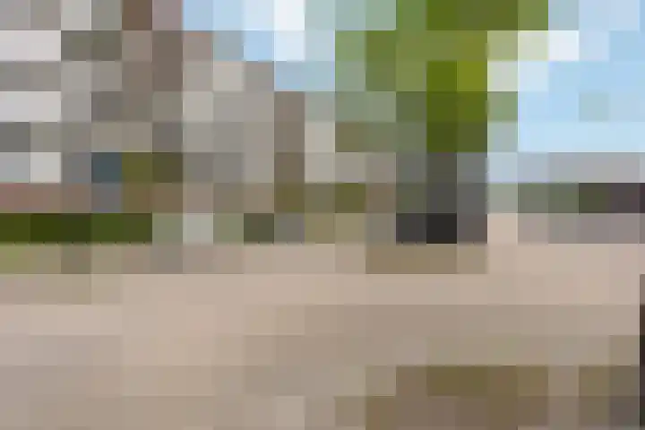 Laan van Ouderzorg 259 Leiderdorp thumbnail 23