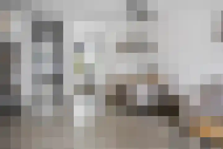 Laan van Ouderzorg 259 Leiderdorp thumbnail 7